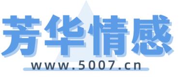 夏安蜘蛛网公司